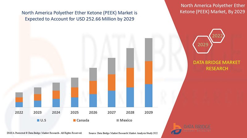 North America Polyether Ether Ketone (PEEK) Market: Growth Drivers, Applications, and Future Outlook North America Polyether Ether Ketone (PEEK) Market