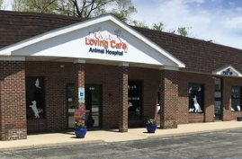 Window Graphics Chicago: How Professional Installation Improves Brand Image and Durability