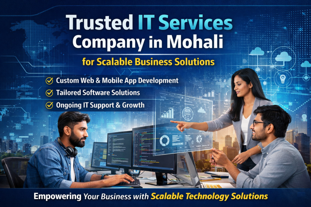 Trusted IT Services Company in Mohali