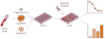 Cytokine Assay for Biomarker Discovery and Disease Monitoring Cytokine Quantification
