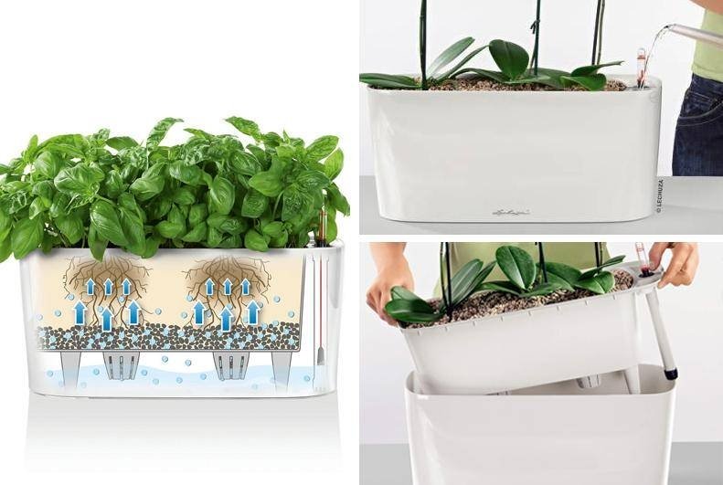 Troubleshooting Common Self Watering Planter Problems Before They Kill Your Plants