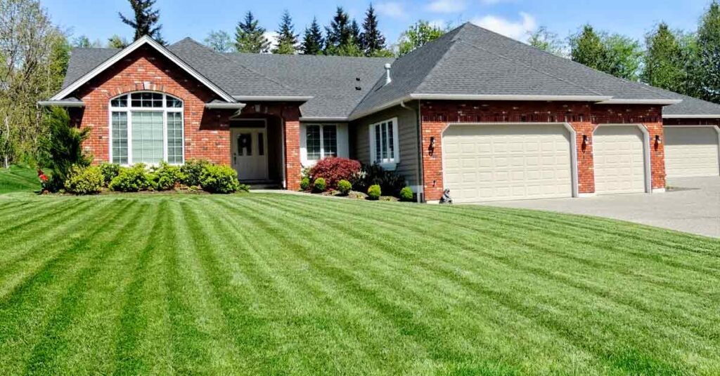 How to Overseed Your Omaha Lawn for a Thicker Greener Yard