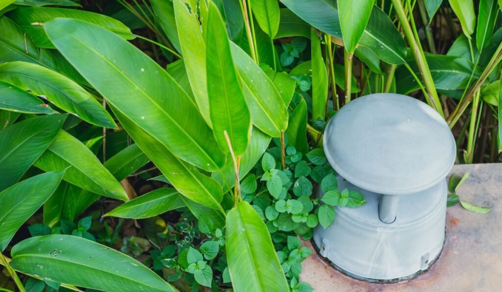 outdoor speaker installation