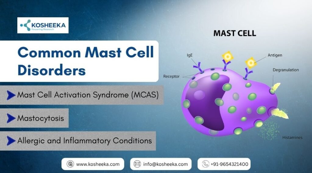 mast cells