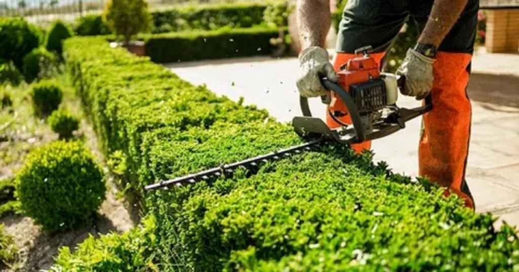 Best Grass Cutting Machine in Pakistan