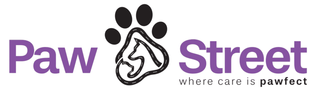 Where to Leave Your Cat While at Work in Dubai | Cat Daycare Dubai – PawStreet Paw-Street-Brand-logo
