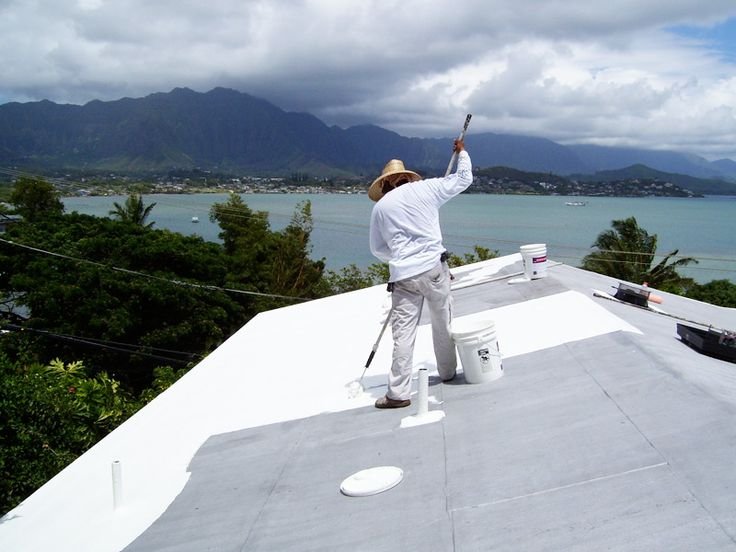 The Importance of Professional Roof Painting Services and Flat Roof Painting for Long-Term Protection Roof painting services