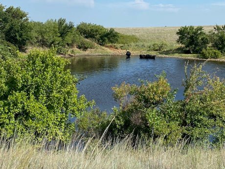 How to Find the Best Private Land Elk Hunting Properties private land elk hunting