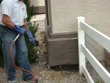 Understanding Termite Removal Services and Long-Term Property Protection