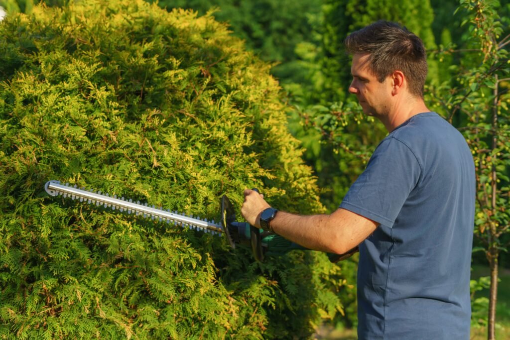 Hedge Trimming