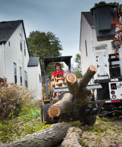 Yard Debris Removal Services | Fast & Reliable Cleanup yard-debris-removal-services