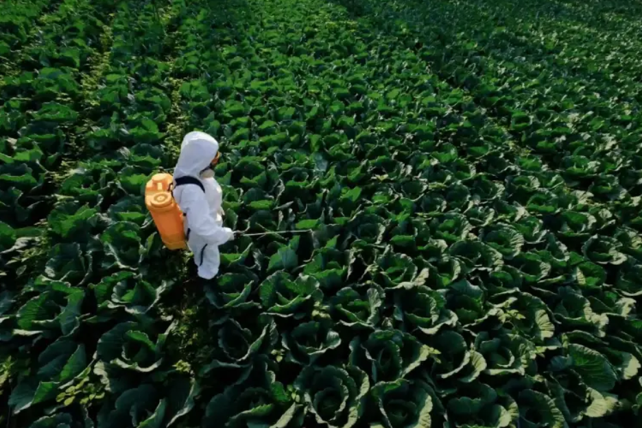 Advanced Crop Protection Solutions for Modern Indian Farms