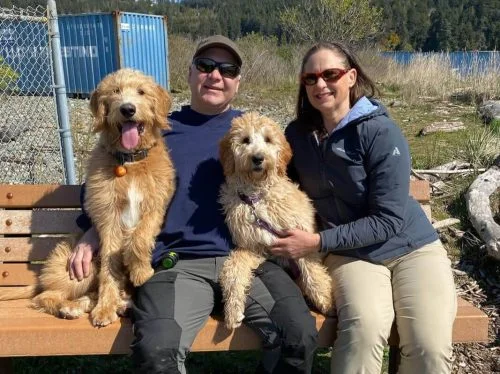 Why Should You Choose DNA-Tested Labradoodle Puppies?
