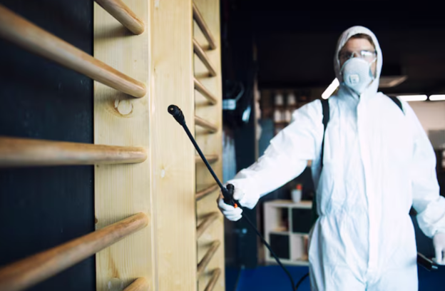10 Smart Ways To Prevent Bed Bugs In Houston, Texas Before They Spread bed bugs houston texas