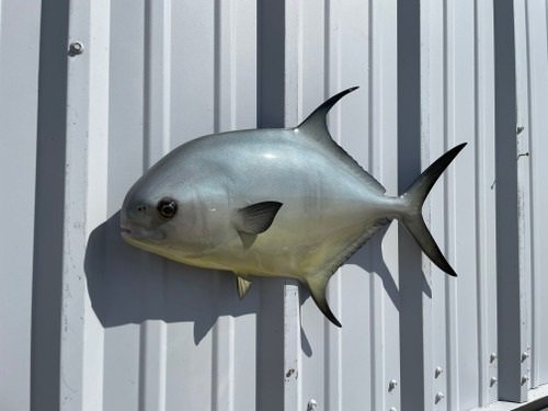 Fish Mount Replicas: Preserve Your Trophy Memories with Realistic Fish Reproductions